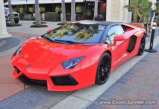 Lamborghini Aventador spotted in Jacksonville, Florida