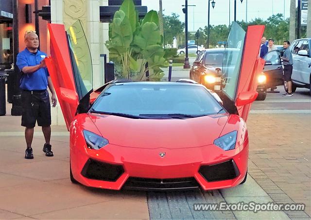 Lamborghini Aventador spotted in Jacksonville, Florida