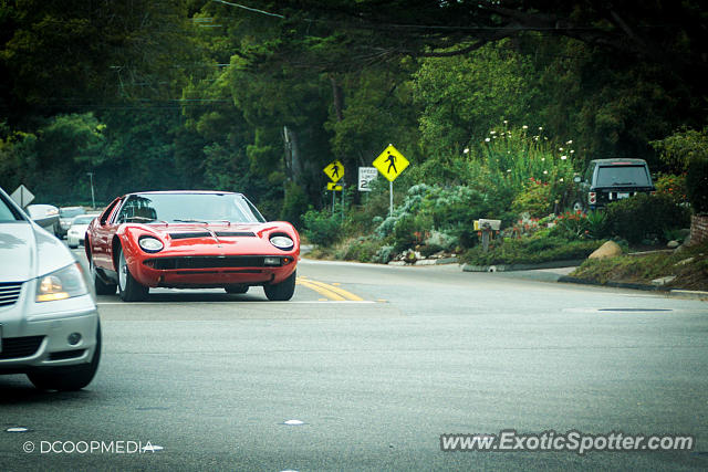 Lamborghini Miura spotted in Monterey, California