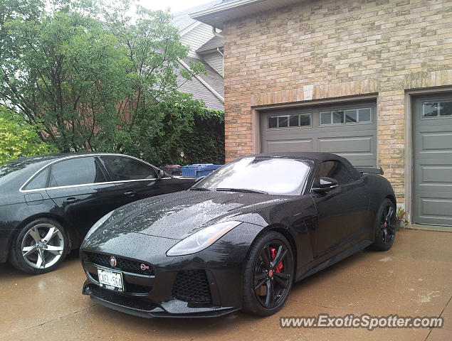 Jaguar F-Type spotted in Guelph, Ontario, Canada