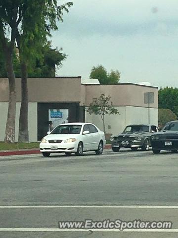 Other Other spotted in El Monte, California