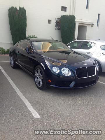 Bentley Continental spotted in Monterey Park, California
