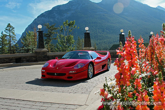 Ferrari F50 spotted in Banff, Canada