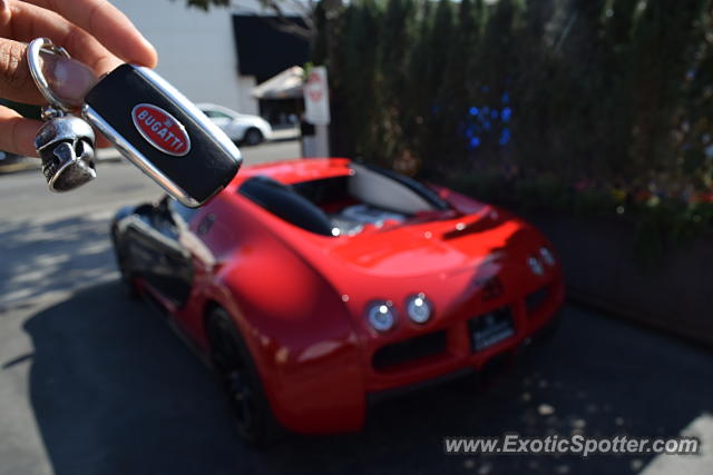 Bugatti Veyron spotted in Beverly Hills, California