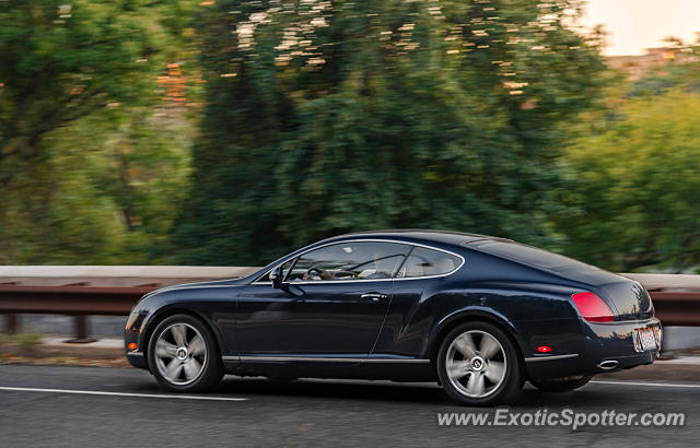 Bentley Continental spotted in Arlington, Virginia