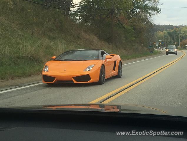 Lamborghini Gallardo spotted in Plum, Pennsylvania