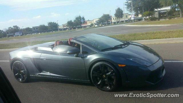 Lamborghini Gallardo spotted in Brandon, Florida