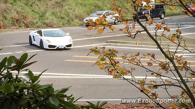 Lamborghini Gallardo spotted in Portland, Oregon