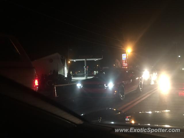 Other Other spotted in Sodus Point, New York