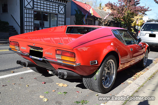 DeTomaso Pantera2 spotted in New Hope, Pennsylvania