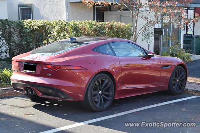 Jaguar F-Type spotted in Doylestown, Pennsylvania