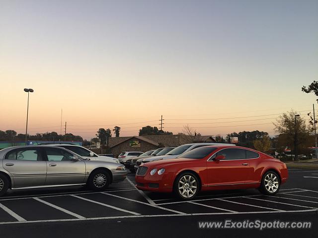 Bentley Continental spotted in Rocky Mount, North Carolina