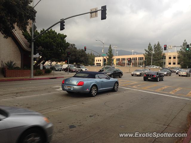 Bentley Continental spotted in Pasadena, California