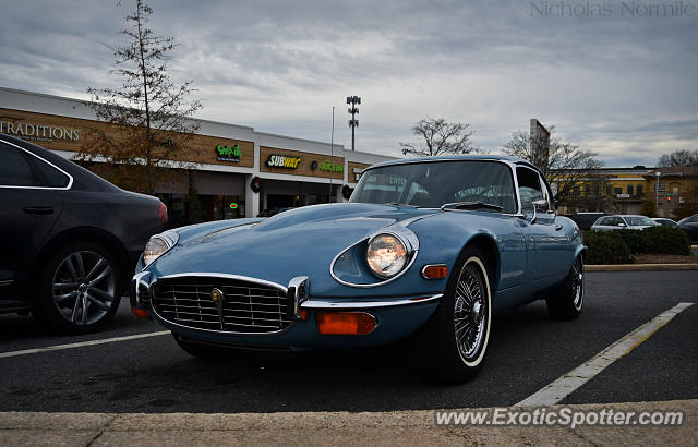 Jaguar E-Type spotted in Charlotte, North Carolina