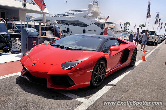 Lamborghini Aventador spotted in Puerto Banus, Spain