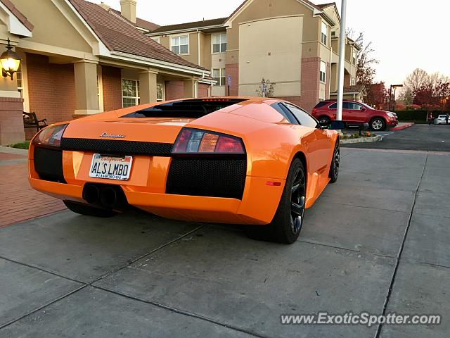 Lamborghini Murcielago spotted in San Jose, California