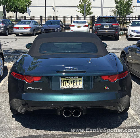 Jaguar F-Type spotted in Secaucus, New Jersey