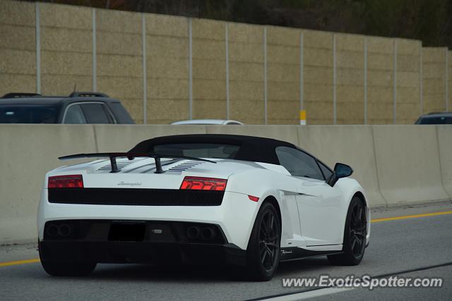Lamborghini Gallardo spotted in Hunterdon County, New Jersey