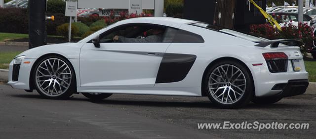 Audi R8 spotted in Warrington, Pennsylvania