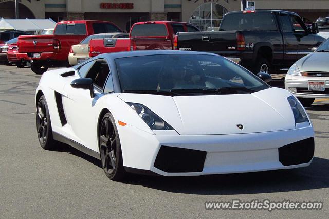 Lamborghini Gallardo spotted in Hayden, Idaho