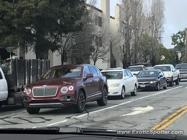 Bentley Bentayga spotted in San Mateo, California