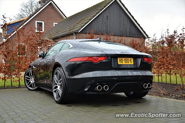 Jaguar F-Type spotted in Varsseveld, Netherlands