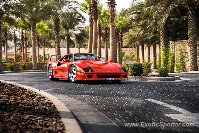 Ferrari F40 spotted in Dubai, United Arab Emirates