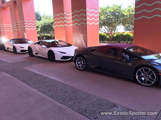 Lamborghini Huracan spotted in Orlando, Florida