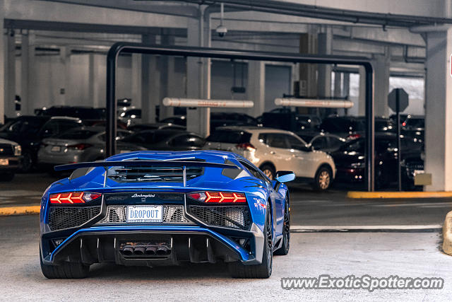 Lamborghini Aventador spotted in McLean, Virginia