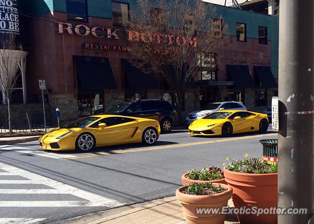 Lamborghini Gallardo spotted in Bethesda, Maryland