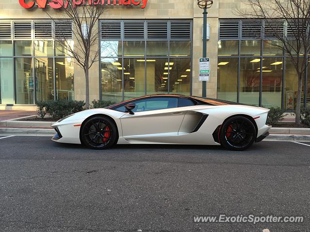 Lamborghini Aventador spotted in Reston, Virginia