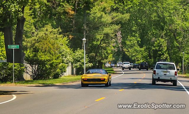 Ferrari 308 spotted in Rumson, New Jersey
