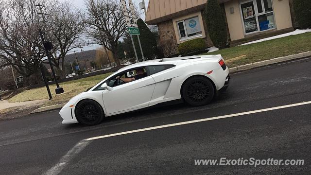 Lamborghini Gallardo spotted in Doylestown, Pennsylvania