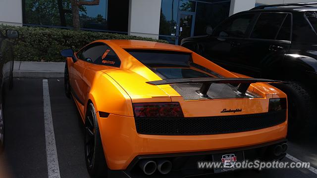 Lamborghini Gallardo spotted in San Diego, California