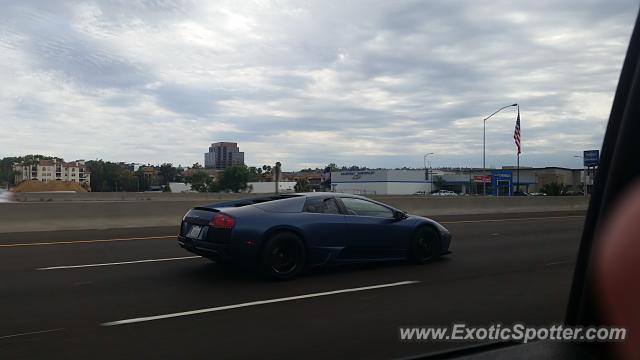 Lamborghini Murcielago spotted in San Diego, California