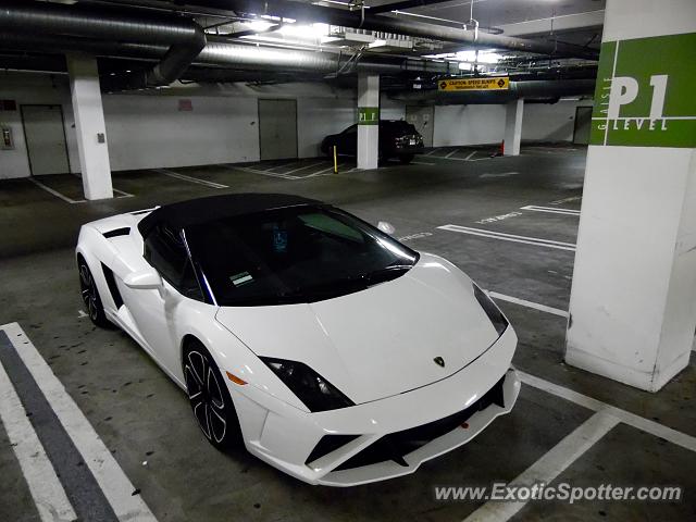 Lamborghini Gallardo spotted in West Hollywood, California