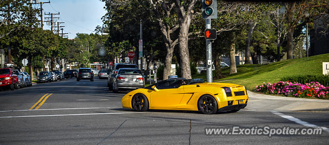 Lamborghini Gallardo spotted in Beverly Hills, California