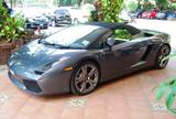 Lamborghini Gallardo