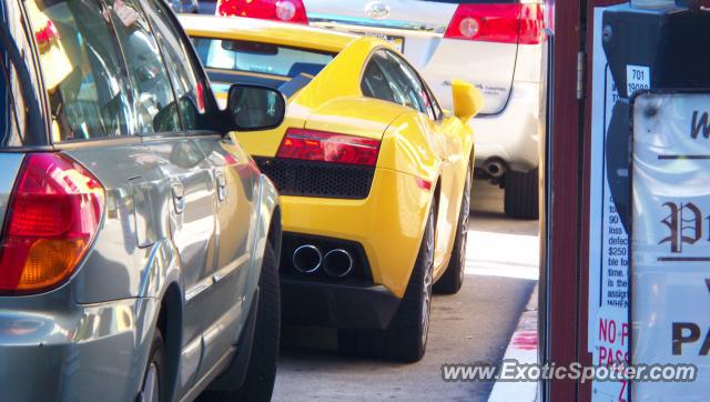 Lamborghini Gallardo spotted in San francisco, United States