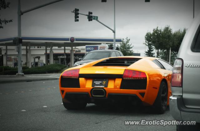 Lamborghini Murcielago spotted in Bellevue, Washington