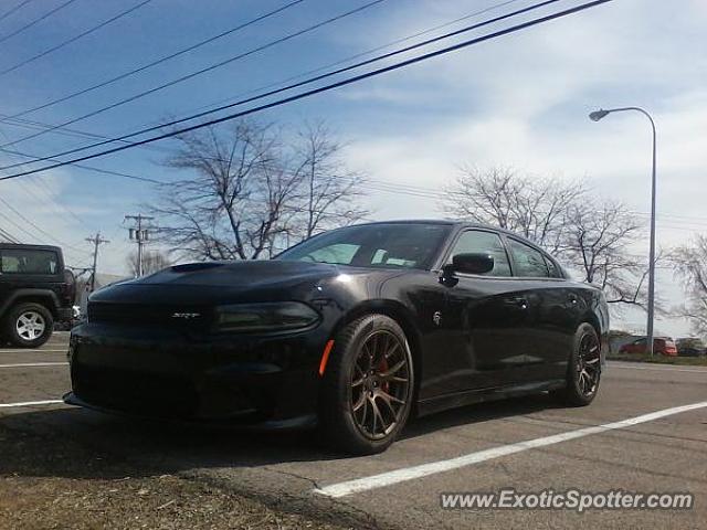 Other Other spotted in Sodus point, New York