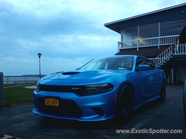 Other Other spotted in Sodus point, New York