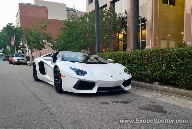 Lamborghini Aventador spotted in Raleigh, North Carolina