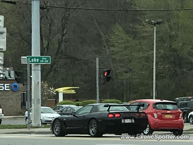 Chevrolet Corvette Z06 spotted in Williamson, New York