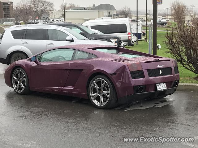 Lamborghini Gallardo spotted in St Foy Quebec, Canada