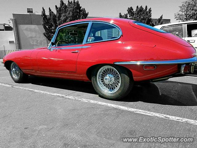 Jaguar E-Type spotted in San Diego, California