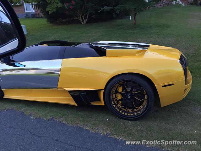 Lamborghini Murcielago spotted in Stevensville, Maryland