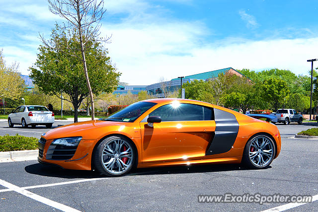 Audi R8 spotted in Albuquerque, New Mexico