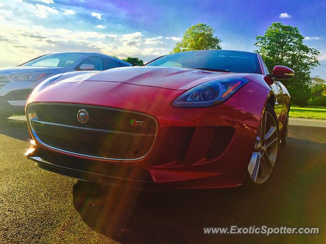 Jaguar F-Type spotted in Stevensville, Maryland