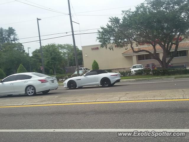 Jaguar F-Type spotted in Riverview, Florida